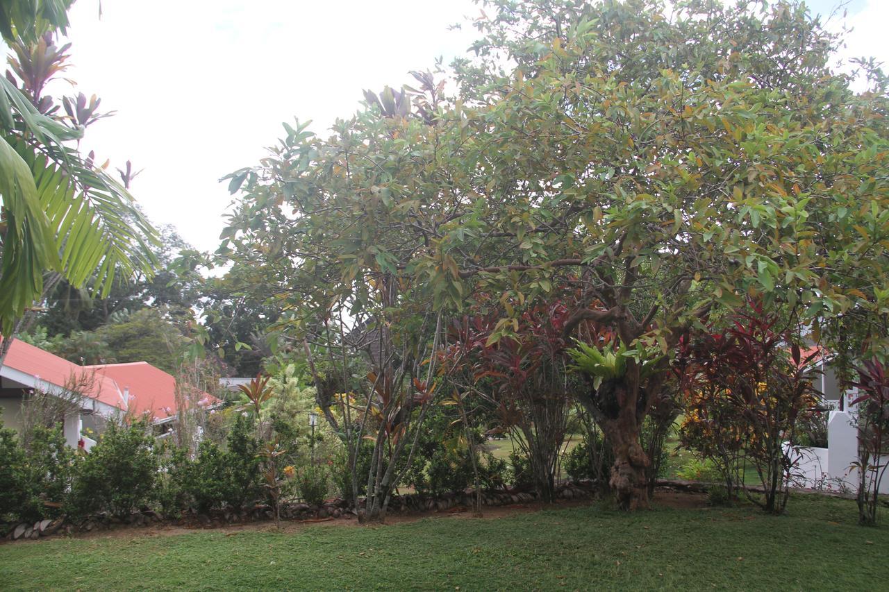 Daniella'S Bungalows Bel Ombre Bagian luar foto