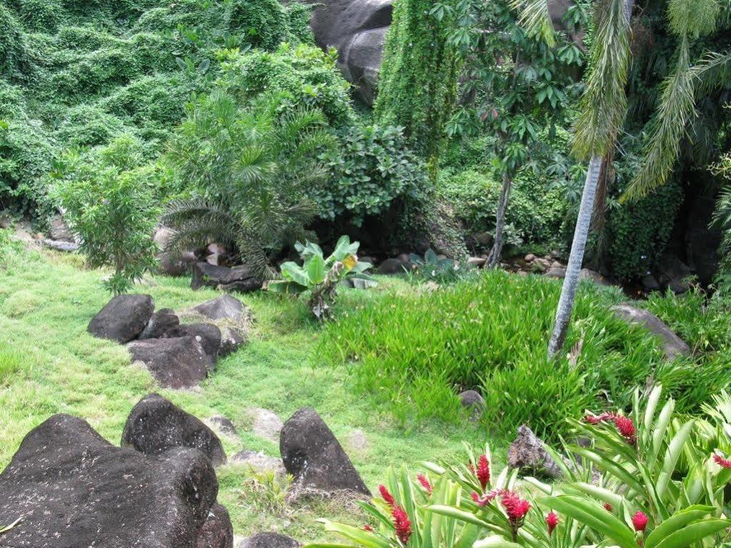 Daniella'S Bungalows Bel Ombre Bagian luar foto