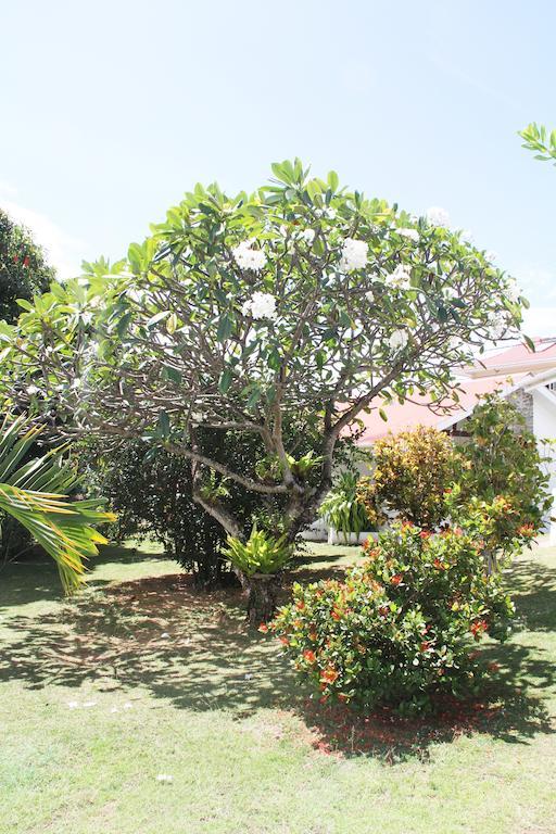 Daniella'S Bungalows Bel Ombre Bagian luar foto